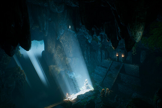 Environment