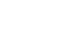 30+ employees in main team